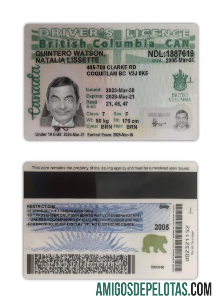 Carteira de motorista da Colúmbia Britânica do Canadá 2021 presente exemplo